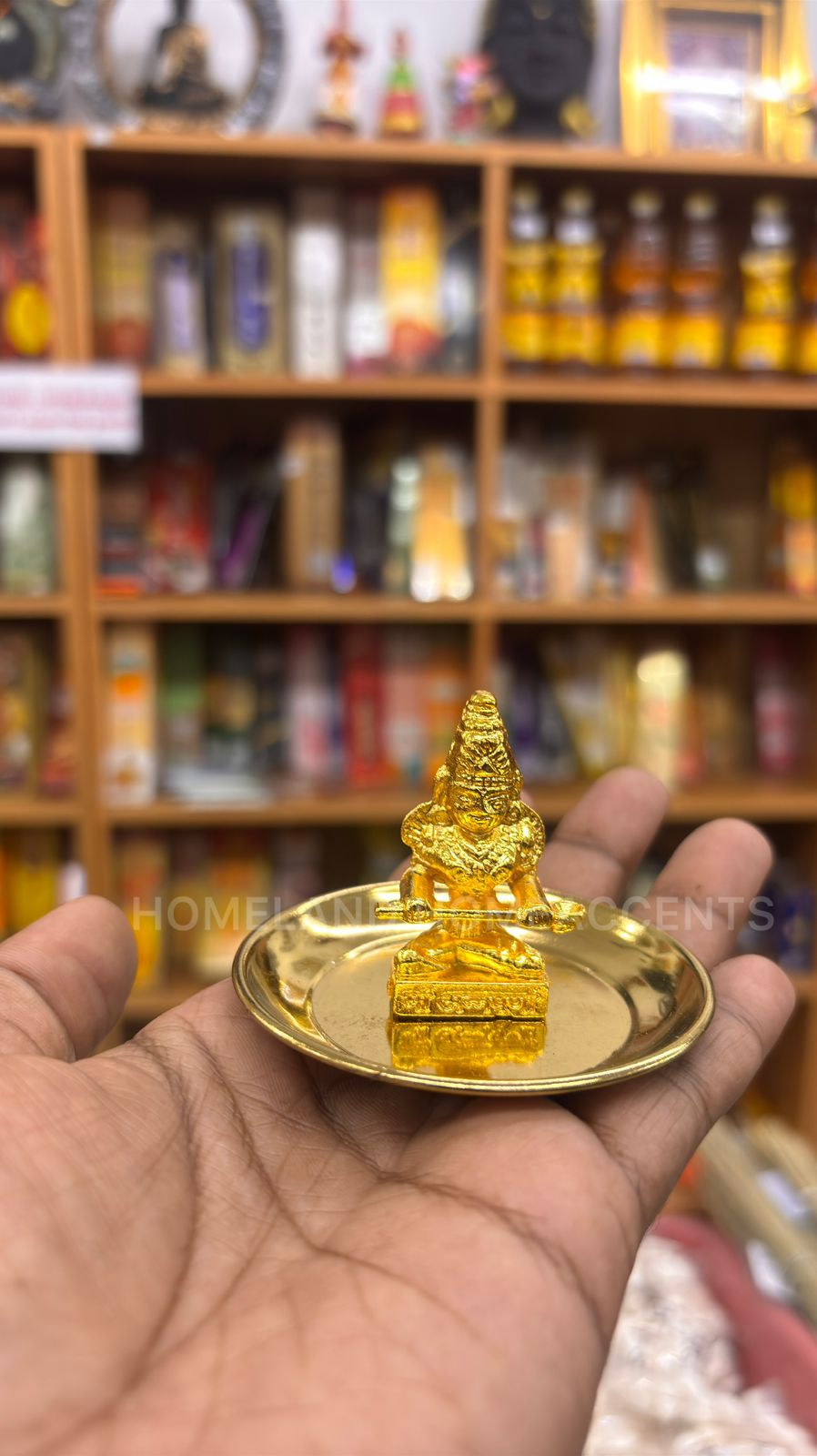Annapoorani Idol with Plate Divine Blessings for Every Home
