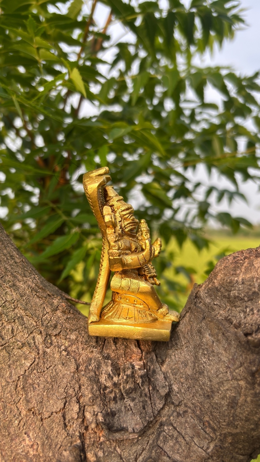 Brass Narasimha Swamy Idol for Pooja, Decor & Gifting