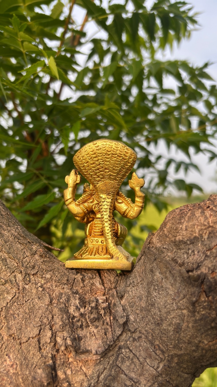 Brass Narasimha Swamy Idol for Pooja, Decor & Gifting
