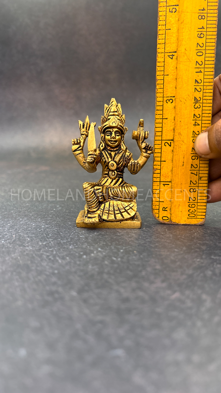 Brass Mariamman Idol
