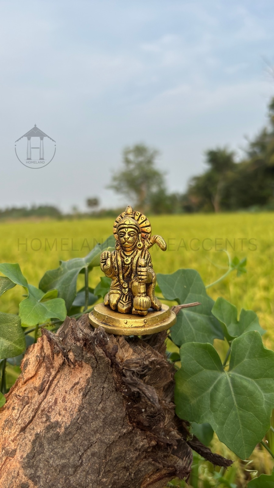 Mini Brass Lord Hanuman Idol 2.5 Inch