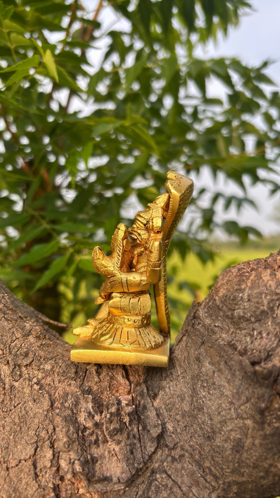 Brass Narasimha Swamy Idol for Pooja, Decor & Gifting