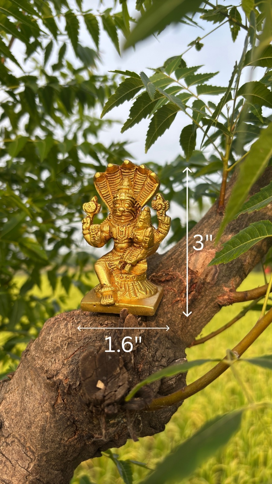 Brass Narasimha Swamy Idol for Pooja, Decor & Gifting