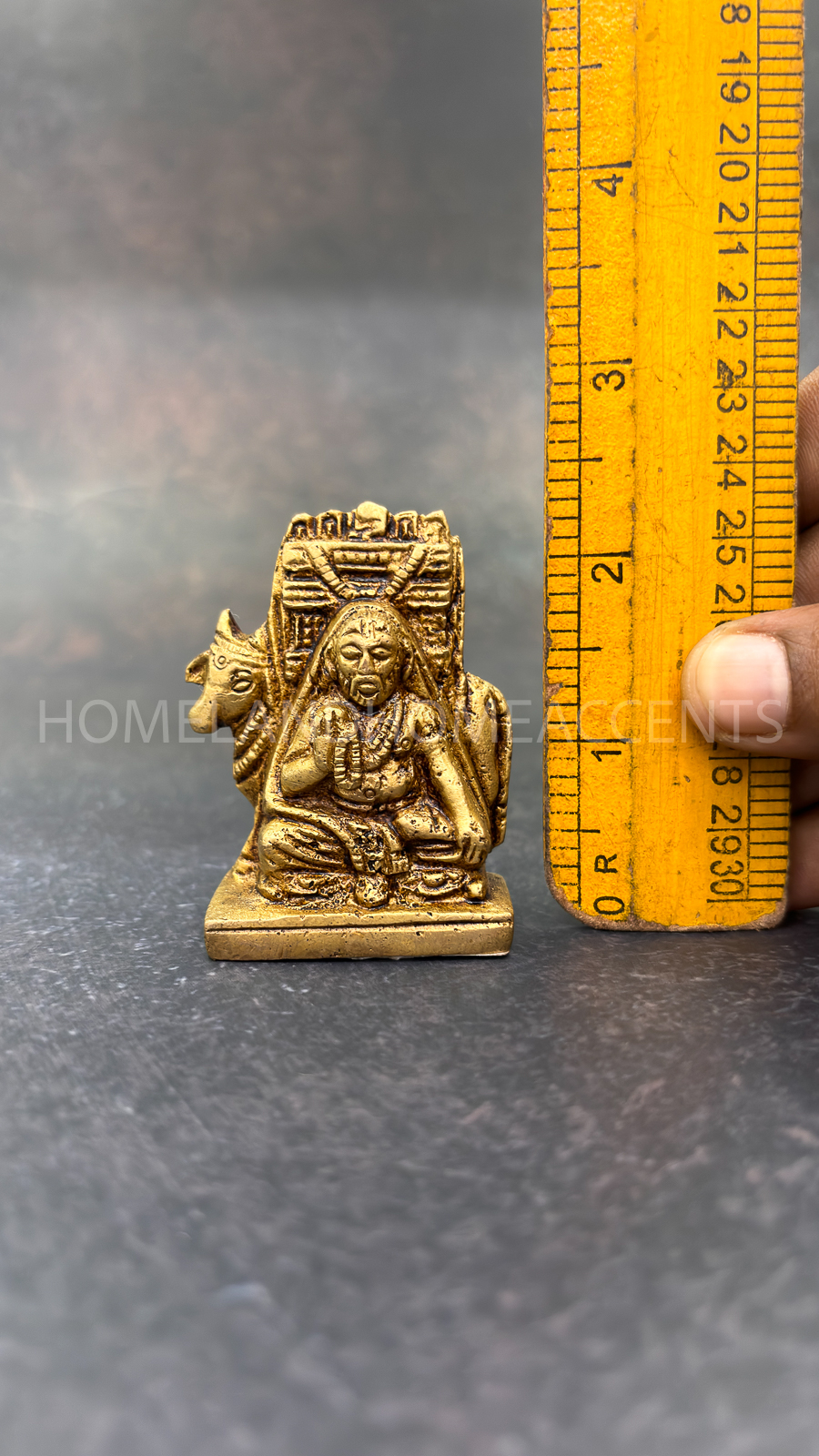 Ragavendra With Cow