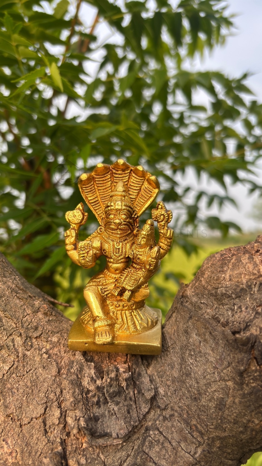 Brass Narasimha Swamy Idol for Pooja, Decor & Gifting