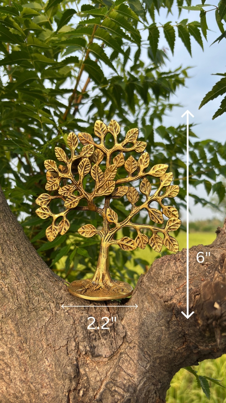 Siddhi Karpaga Vriksha Brass Idol of Fulfillment