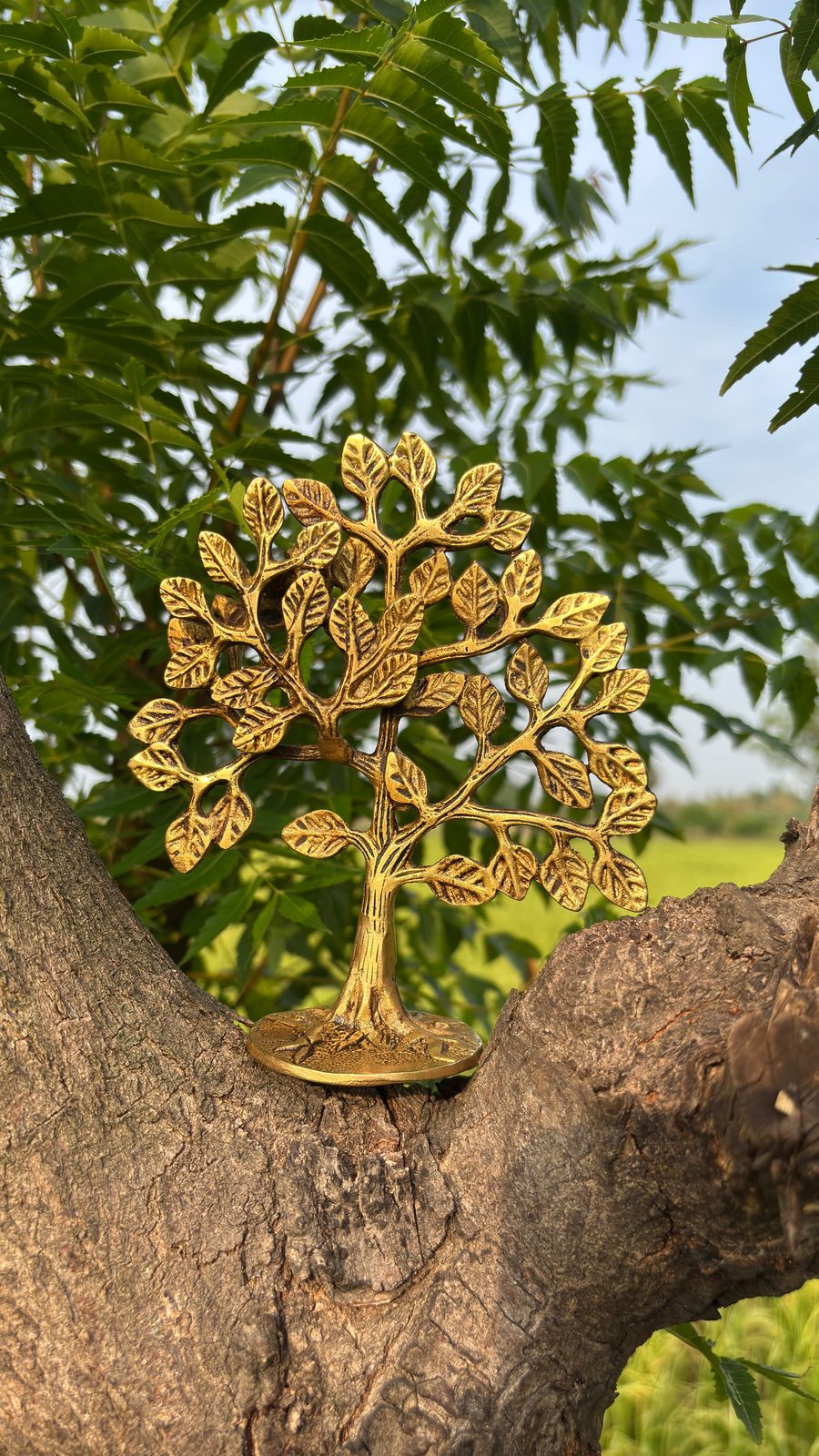 Siddhi Karpaga Vriksha Brass Idol of Fulfillment