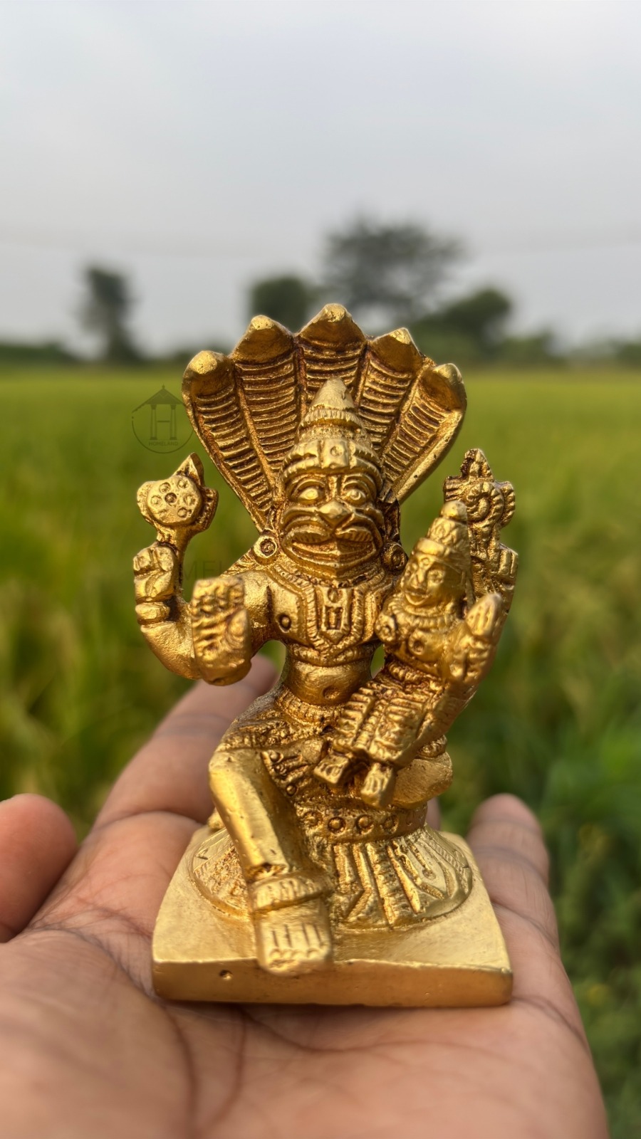 Brass Narasimha Swamy Idol for Pooja, Decor & Gifting