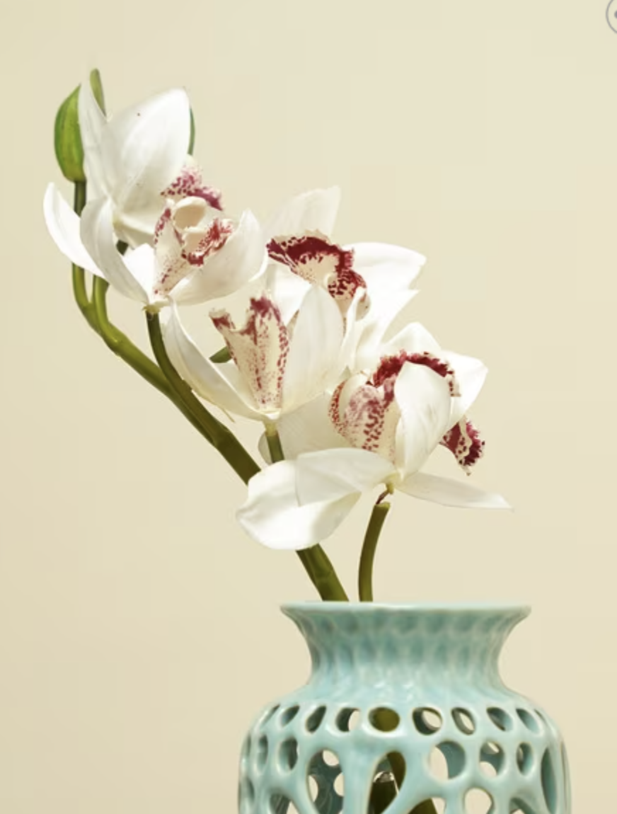 Plants & Flowers